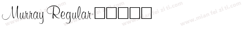 Murray Regular字体转换